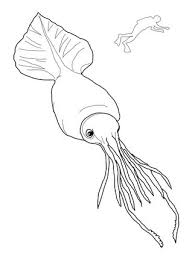 Colossal Squid And Scuba Coloring Page Supercoloring Com Whale Coloring Pages Animal Coloring Pages Coloring Pages