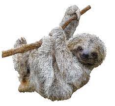 Maybe you would like to learn more about one of these? Madd Capp Puzzles Jr I Am Lil Sloth 100 Pieces Animal Shaped Jigsaw Puzzle Buy Online In Luxembourg At Luxembourg Desertcart Com Productid 104307522
