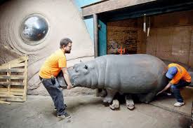 Find your perfect vintage garden statues. Hippos Come Home Sculptures That Lived In Nyc Come Back To St Louis Life Newspressnow Com