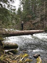 How To Go Hiking Near Portland At Old Salmon River Slight North Mount Hood National Forest Hikes Near Portland Mount Hood