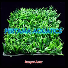 We did not find results for: Beli Rumput Aster Full Rumput Aquarium Rumput Artificial Rumput Hiasan Dinding Tanaman Aquarium Seetracker Indonesia
