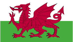 Our goal is to grow, develop, promote and service football for the 345,000 participants in the state. The Official Website Of The Football Association Of Wales