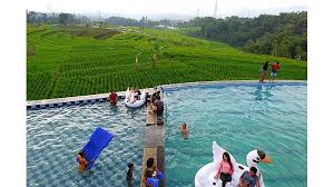 Libur Idul Adha Warga Ini Rela Tempuh Perjalanan Jauh Ke Kolam Renang Dengan View Sawah Terasering Tribun Jabar