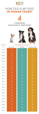 80 Thorough Canidae Dog Food Feeding Chart