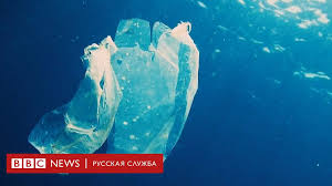 Перехват пластика в реках гораздо. Plastik Luchshe Bumagi Kak Hlopkovye Sumki Vredyat Prirode Bbc News Russkaya Sluzhba