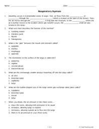 Respiratory System Grade 5 Free Printable Tests And Worksheets Respiratory System Respiratory System Projects Human Respiratory System