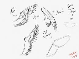 Closed Wings Drawing Wings Sketch Wings Drawing Art Reference Photos