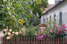Check spelling or type a new query. Dahlia Plant Companions Learn About Companions For Dahlia In The Garden