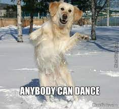 50 Best Dancing Dog Memes