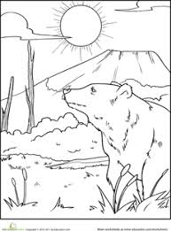 Color The Grizzly Bear Worksheet Education Com Bear Coloring Pages Teddy Bear Coloring Pages Grizzly Bear