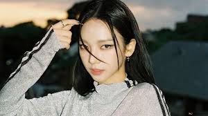 Karina Grey Velvet King Bed (3 Boxes) K