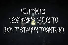 Written by chesmu / nov 10, 2019 make survival tactics an instinct for yourself. Ultimate Beginner S Survival Guide To Don T Starve Together Game Voyagers