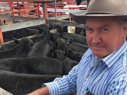 Stanthorpe weaner sale proves red hot