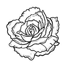 Maybe you would like to learn more about one of these? Hometown Flower Co Home Facebook