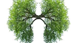 We did not find results for: Ce Castigi Daca Te Lasi De Fumat Reginamaria Ro