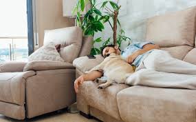 We did not find results for: Free Photo Photo Of A Handsome Hispanic Man Sleeping On A Sofa With His Dog