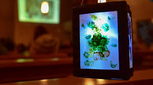 November gefeiert und fällt dieses jahr auf einen mittwoch. Martinsumzuge In Wiesbaden Ich Geh Mit Meiner Laterne Wiesbaden Lebt