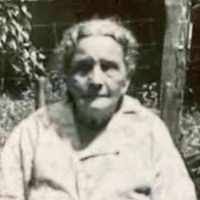 Louisa Trout (1867–1955) • FamilySearch