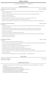 Junior Data Scientist Resume Sample Mintresume