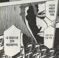 블리치 노잼의 이유중 하나 | 유머 게시판
