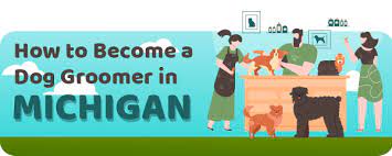 The grooming schools are used to develop professionals that will handle different functions of dog grooming. Dog Grooming License Requirements And Schools In Michigan