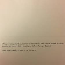 Cellular respiration is the process of extracting energy in the form of atp from the glucose in the food you eat. What Is The Chemical Equation For Cellular Respiration Reactants And Products Tessshebaylo