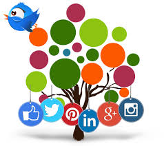 Resultado de imagen para paginas web dinamicas