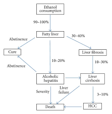 The Natural History Of Alcoholic Liver Disease Chronic Ethanol Download Scientific Diagram
