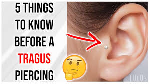 That's just a rough estimate, though. 5 Things To Know Before Getting A Tragus Piercing Youtube