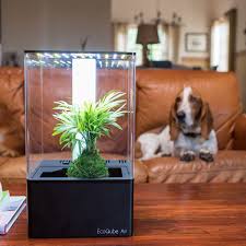 Aqua/hydro/aeroponics, followed by 638 people on pinterest. Ecoqube Air Led Grow Lights Greenhouse Boost Creativity