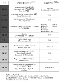 日 時：12月7日（木）17：10～18：05 座 長：竹内 理（京都大学ウイルス・再生医科学研究所） 審良 静男 （大阪大学wpi免疫学フロンティア研究センター）. Https Repository Dl Itc U Tokyo Ac Jp Record 3372 Files 41 57350 Pdf