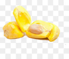 jackfruit png free download avocado buddha avocado jackfruit png free download avocado