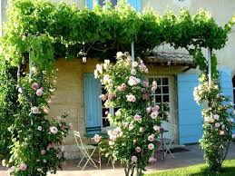 Manon 21 Jardines Patio Y Jardin Jardines Franceses