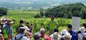 Comment Travailler Dans L œnotourisme L Accord Divin