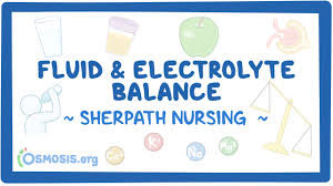 Image result for Electrolyte