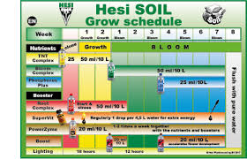 hesi nl downloads