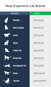 Maybe you would like to learn more about one of these? Pet Ownership Costs Guide For 2021 The Simple Dollar