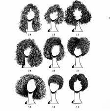Long Curly Hair On Instagram Which Is Your Type Mine Is 3b Longcurlyhair Longhai Curly Hair Styles Long Curly Hair 3c Curly Hair