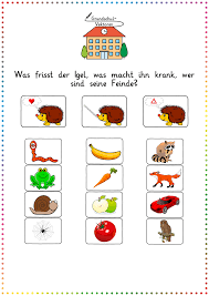 Was Frisst Der Igel Was Macht Ihn Krank Wer Sind Seine Feinde In 2020 Sachunterricht Grundschule Igel Unterrichtsmaterial