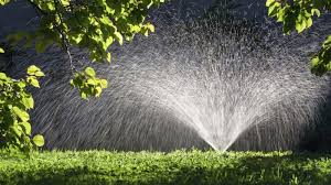 Now Is The Time To Shut Off Your Sprinklers If You Want To Avoid A Fine