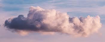 In fact, researchers have found that people usually have several dreams each night, each one typically lasting for between five to 20 minutes. How Long Do Dreams Last Savvy Sleeper