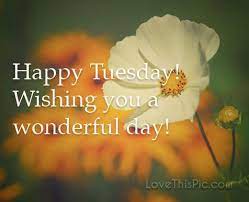 Pin On Enlightenment Daily Greetings