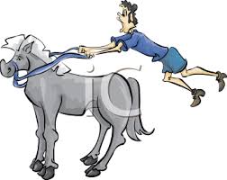 Funny illustration of napoleon bonaparte riding on a horse. How To Train The Horse Bajileaks