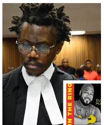 @Eusebius's video Tweet