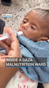 An apprentice electrician and the Laois Rose