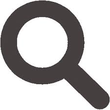 Proper Noun Search