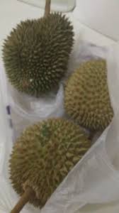 Ya kafi ya ghani ya fattah ya razzaq. Ardi Bridal Ya Kafi Ya Ghani Ya Fattah Ya Razzak Ya Facebook