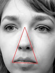 Danger Triangle Of The Face Wikipedia