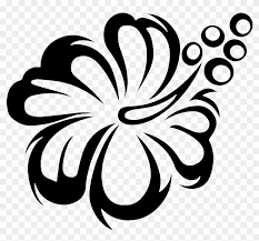 Sunflower, rose, floral patterns and simple vectors. Sunflower Clipart Black And White Hawaiian Flower Clipart Black And White Png Download 2135978 Pikpng
