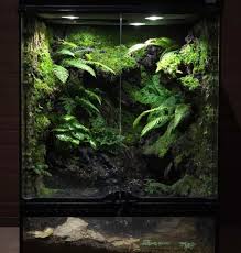 Terrarium / Vivarium : r/terrariums